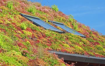 Kings Stanley living roof systems
