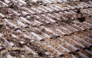 Kings Stanley roof cleaning companies