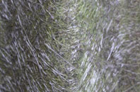 Kings Stanley fibreglass roof work